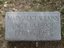 Mary Alice Wilkins
