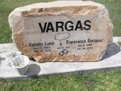 Estalfo Vargas