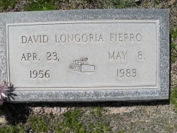 David Longoria Fierro