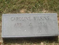 Caroline Wilkins