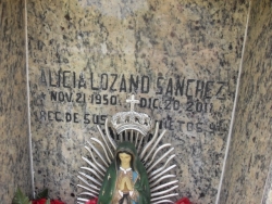 Alicia Lozano Sanchez