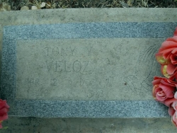Tony Y. Veloz