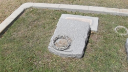 Stone Turned over (Fred) Cooke