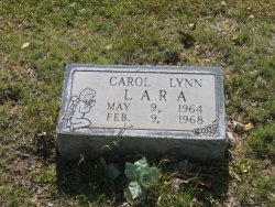 Carol Lynn Lara