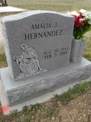 Amilia J. Hernandez
