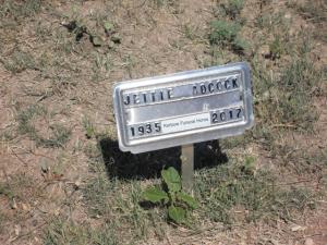 Jettie Proctor Adcock