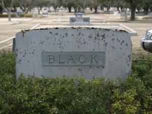Jane Murphey Black