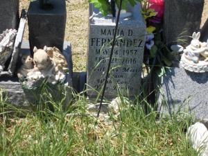 MariaD.(Rosa) Fernandez