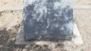 Ida M. Cook