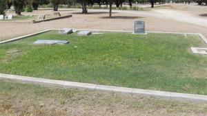 Stone Turned Over Cooke