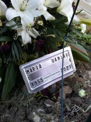 Maria R. Damian