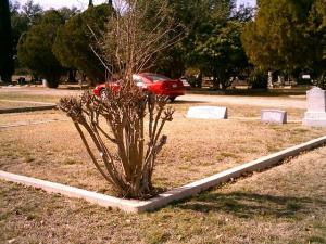 Birdie Lee Estes