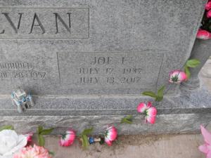 Jose Elias (Joe) Galvan