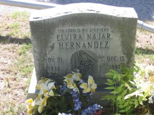 Elvira Najar Martinez