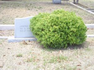 Walter Peery Hoover