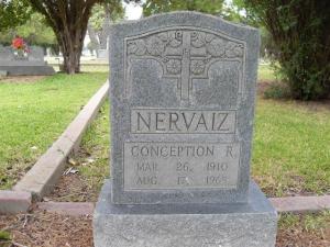 Conception Nervaiz