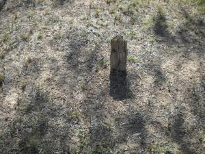 Wooden Post