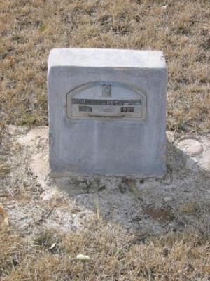 Louis N. Rice