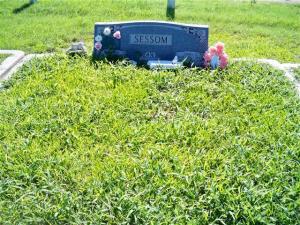 Linda G. Sessom