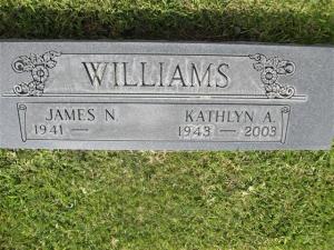 James N. Williams