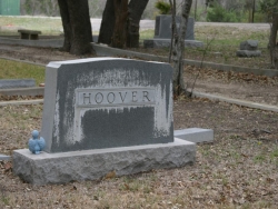 Elizabeth W. Hoover