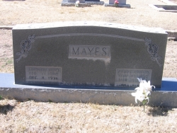 Hudson Mayes