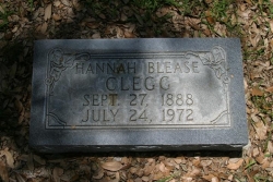 Hannah Blease Clegg