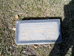 Jesus Lionel Delgado