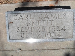 Carl James Pettit