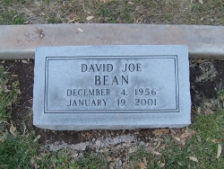 David Joe Bean