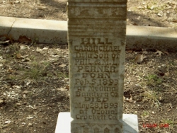 Hill Carmichael Perner