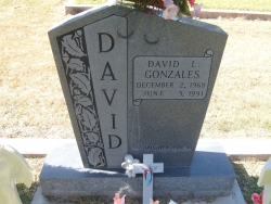 David L. Gonzales