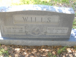 Sam William Willis