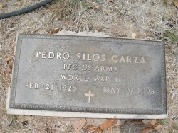 Pedro S. Garza