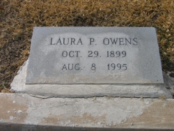 Laura P. Owens