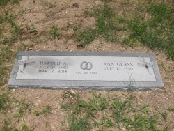 Ann Glass Shaw