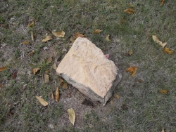 Rock
