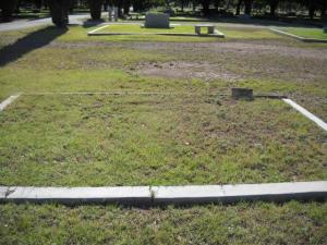 Curbed Lots