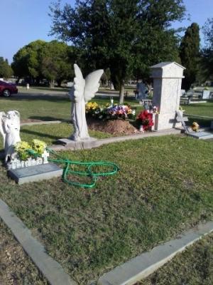 Irma R. Fierro