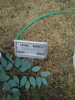 Irene T. Gomez