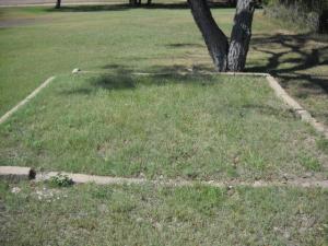 Curbed Lots